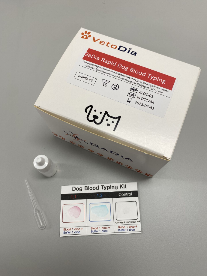 [BLOC-05] GaDia Rapid Dog Blood Typing